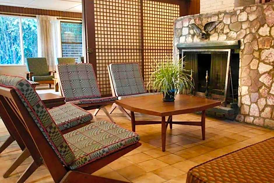 Mid-Century Modern Centrally Located Garden Oasis