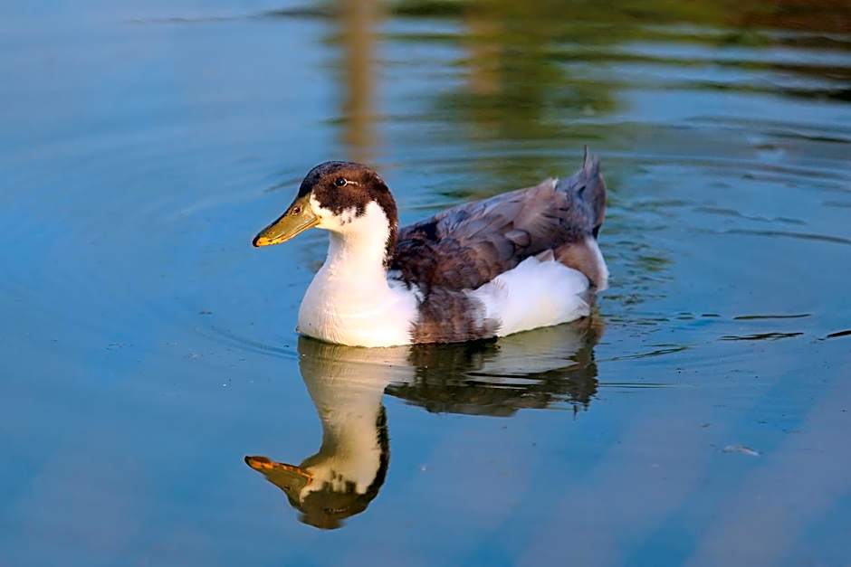 Seven Generations Winery Hotel