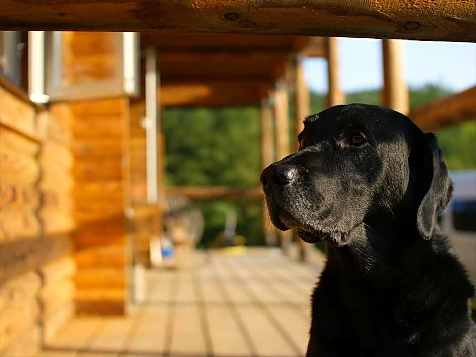 Minanonno Play Village