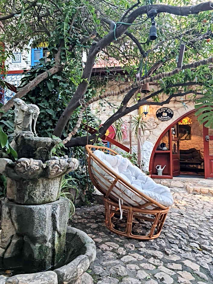 וילה תהילה המחודש - The new Villa Tehila