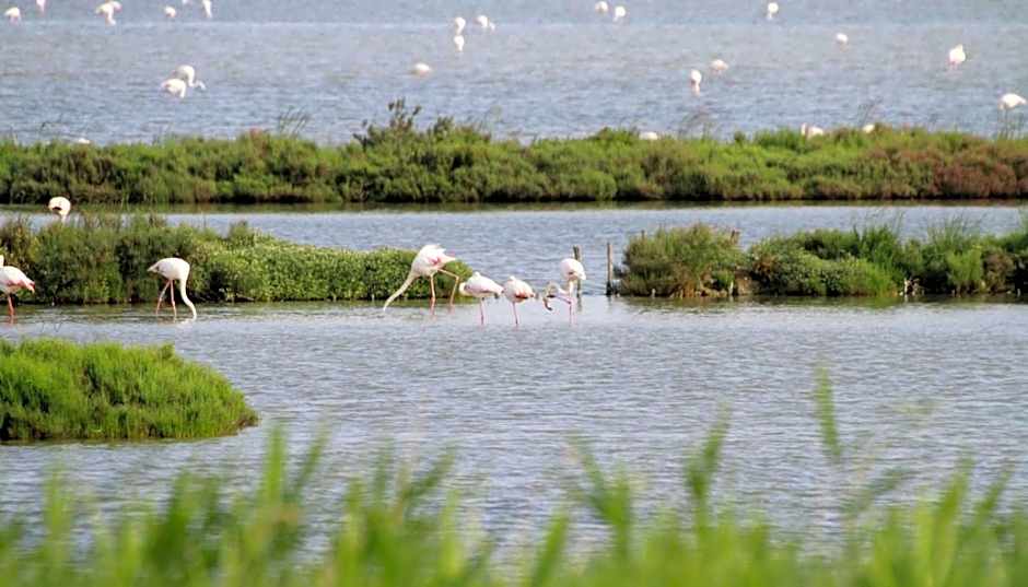 GRAN DELTA River & Nature Hotel