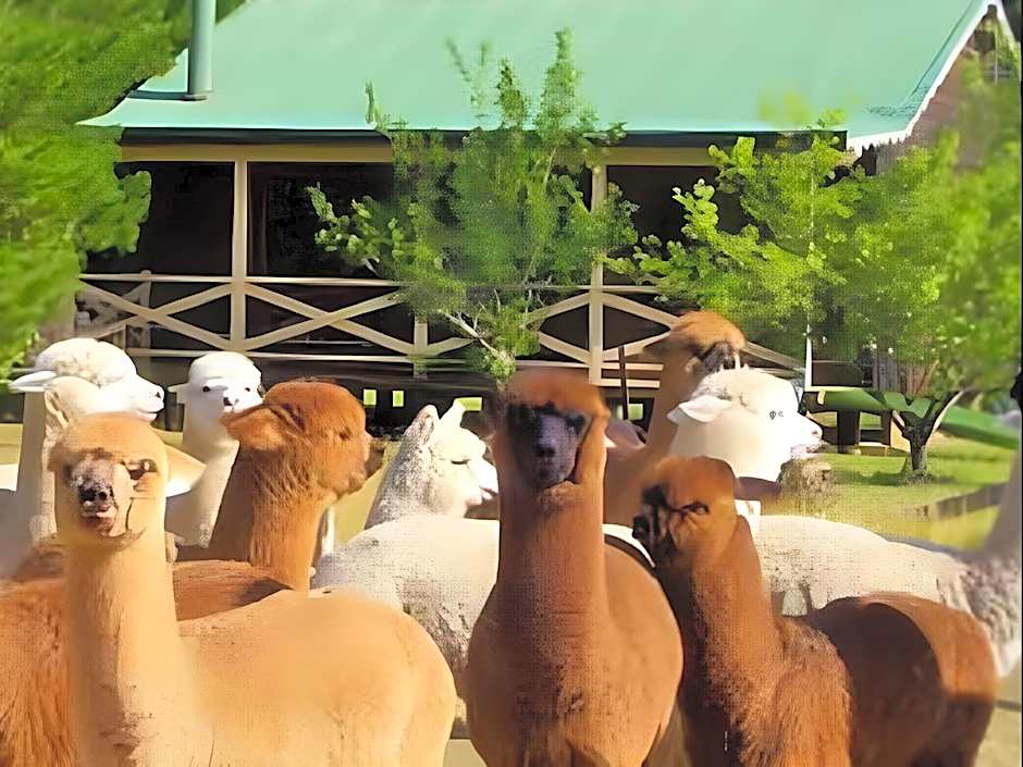 Madison's Mountain Retreat