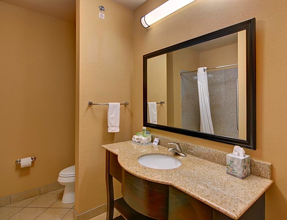 Holiday Inn Express Hotel and Suites Altus
