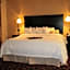 Hampton Inn By Hilton & Suites Dallas-Arlington North-Entertainment Dist.