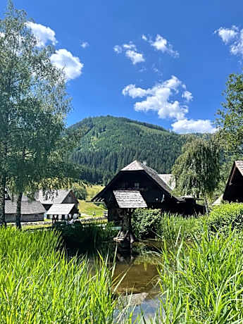 Ferienhaus Bettina Rassis Feriendorf Donnersbachwald