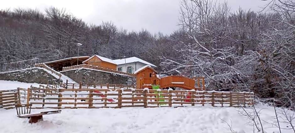 Bonsovi Poliani Hut (¿¿¿¿ ¿¿¿¿¿¿¿ ¿¿¿¿¿¿)