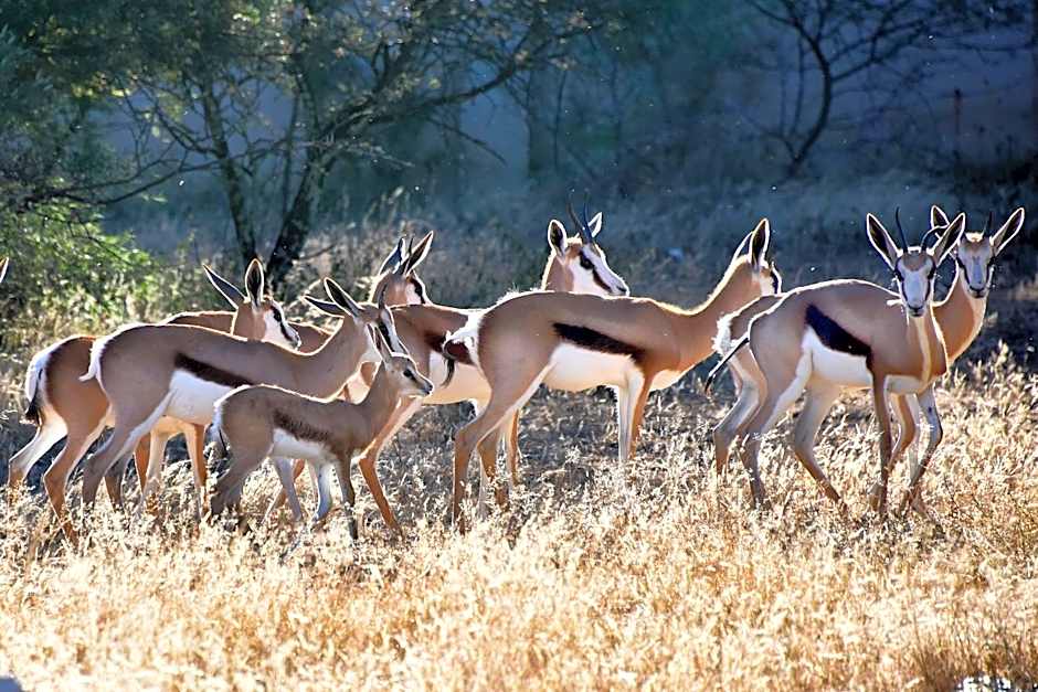 Tredenham Boutique Hotel