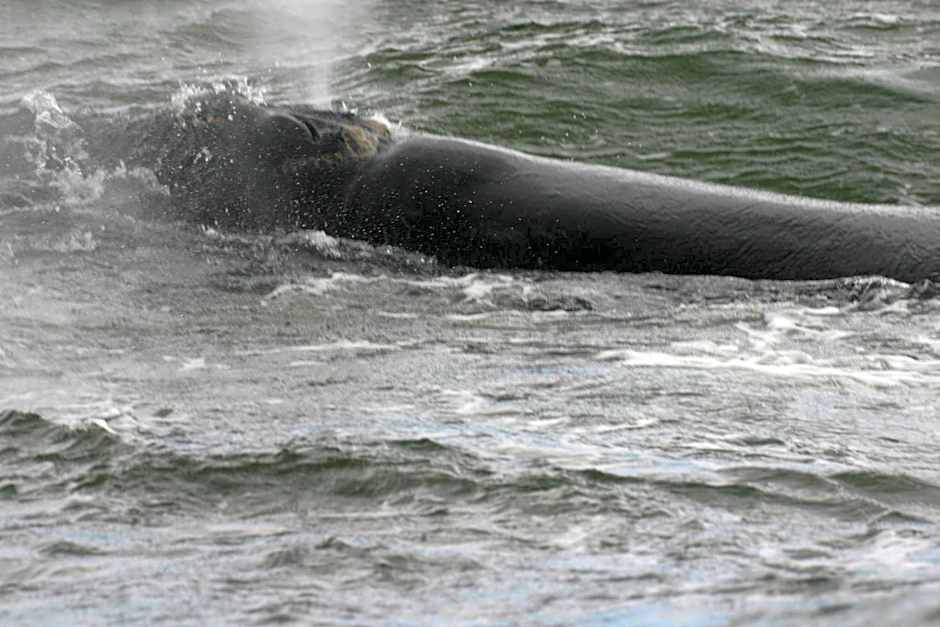 Lavender Manor Guest Lodge