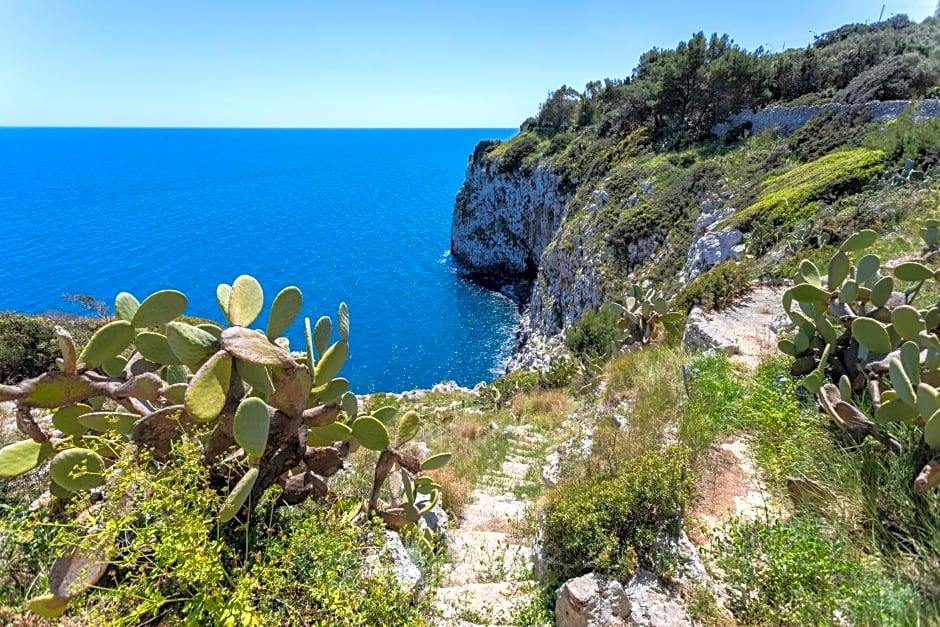 Il Posto delle Fragole