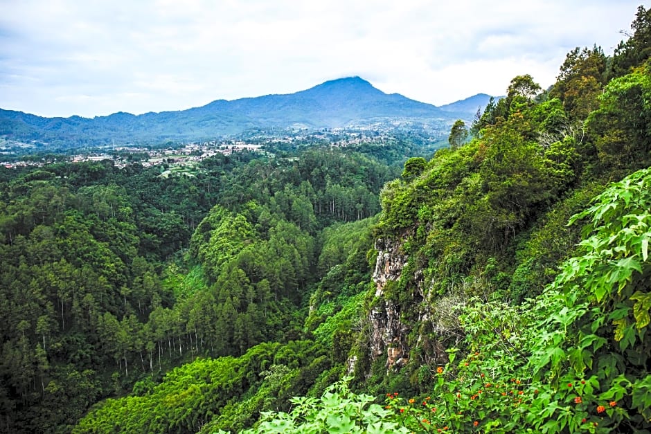 Tibrae Homestay Syariah