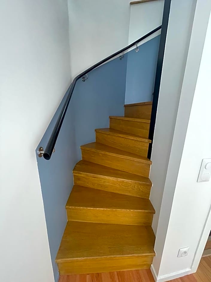 THEIA - Limoges Centre