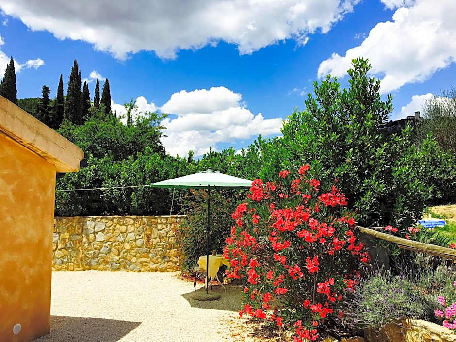 B&B 8380 Saturnia Terme