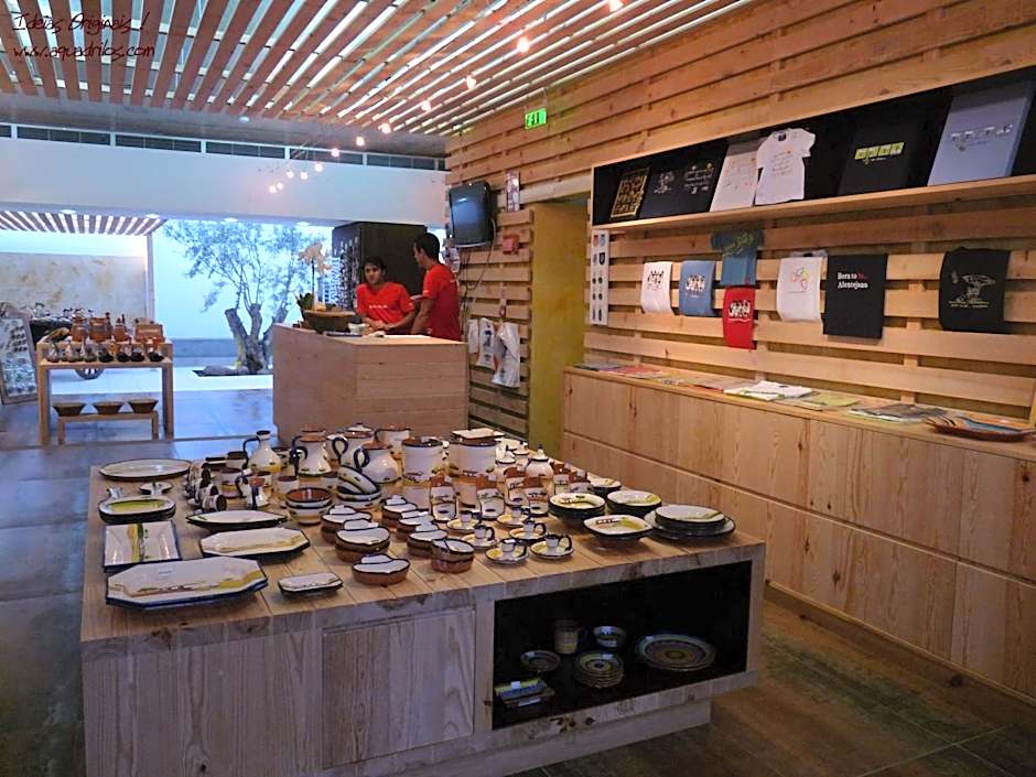 Born To Stay In Milfontes