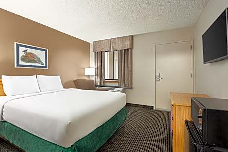 1 Queen Bed Mobility Accessible Room Non-Smoking