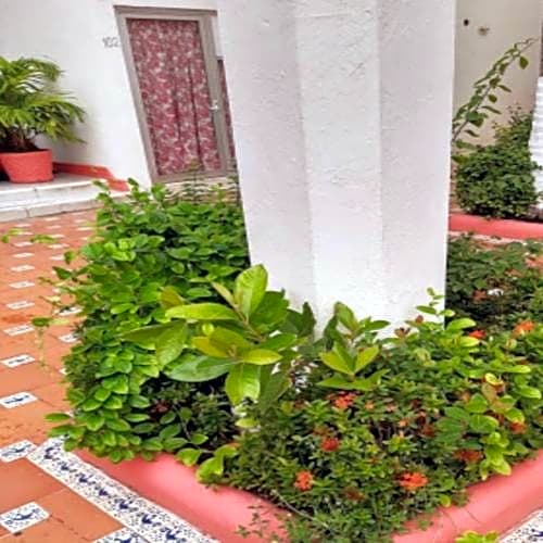 HM HOTEL MARA