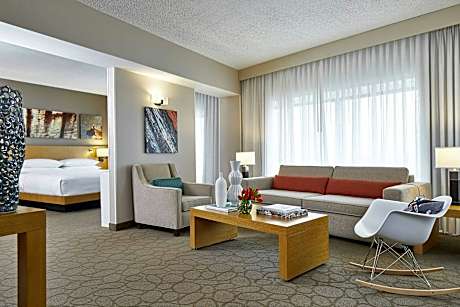 Presidential Suite, Suite, 1 King, Sofa bed
