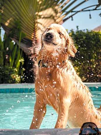 Bed in 8-Bed Female Dormitory Room