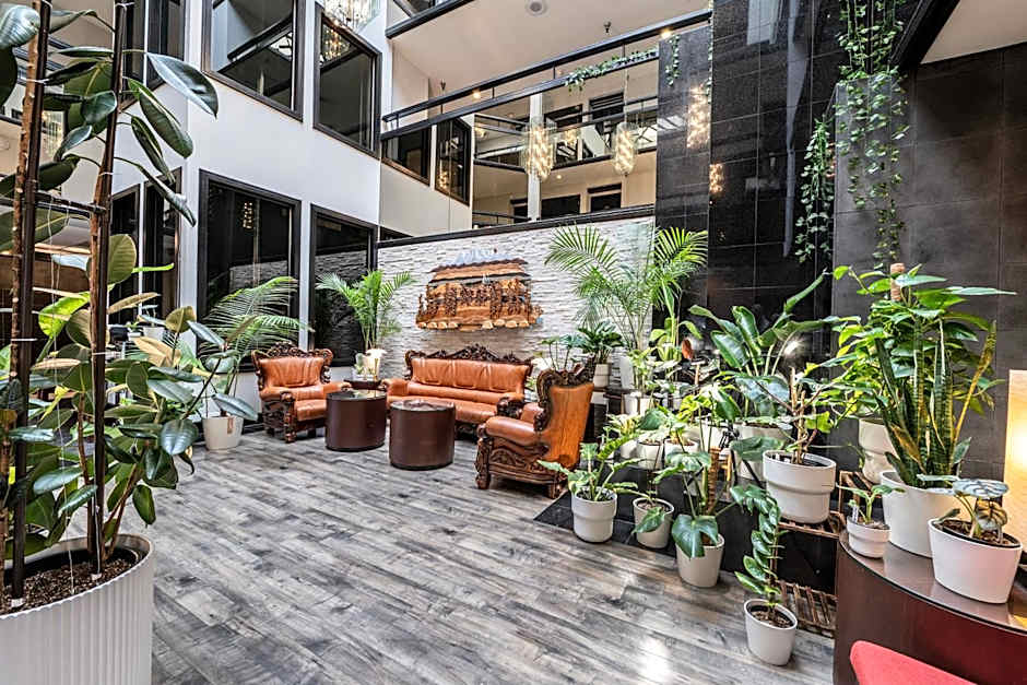 Hotel International