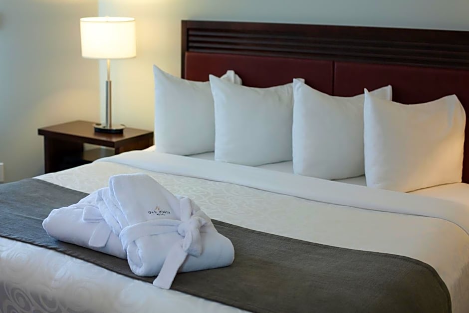 Old House Hotel & Spa