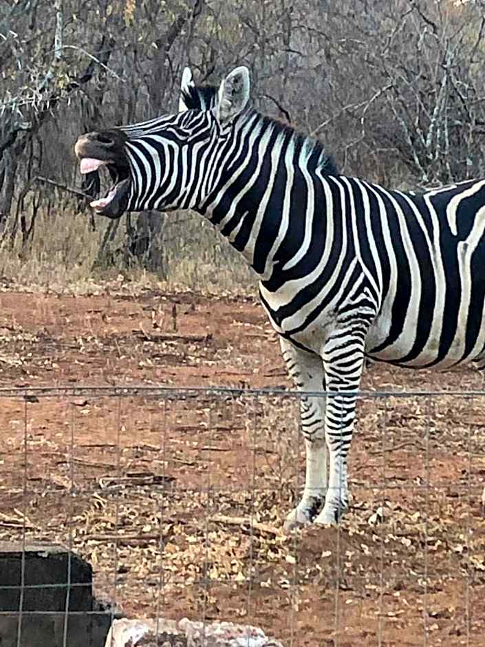 Call of the Wild Lodge