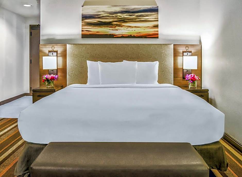 Photo 1 of 8 of Junior 1 King Bed Suite