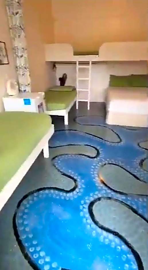 Bay of Islands Holiday Park