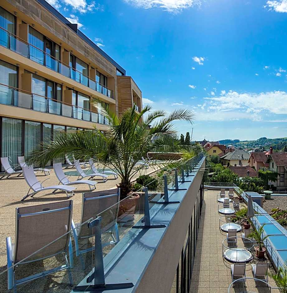 Spa & Wellness Hotel Alexandria