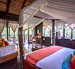 Pugdundee safaris - Tree House Hideaway
