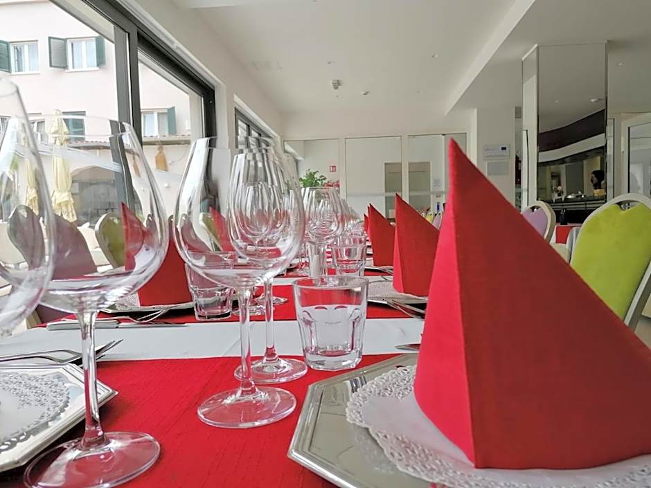 Hotel Borovnik