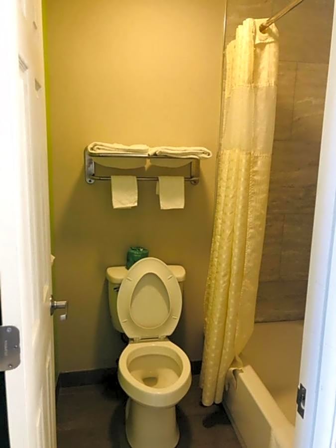 Flamingo Beach Inn