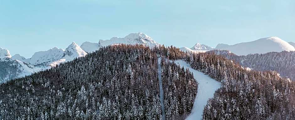 Hotel Paryski Art & Business Zakopane - Basen Jacuzzi Sauna Małpi Gaj