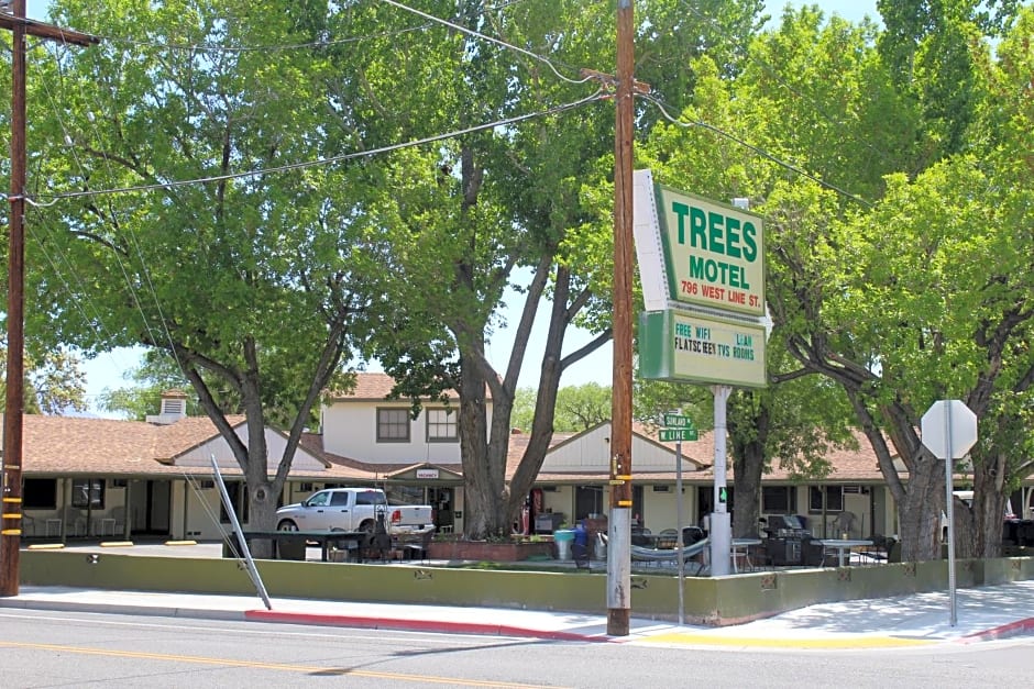 Trees Motel