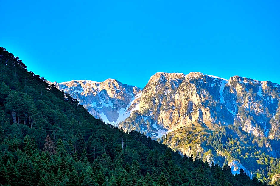 Konitsa Mountain Hotel