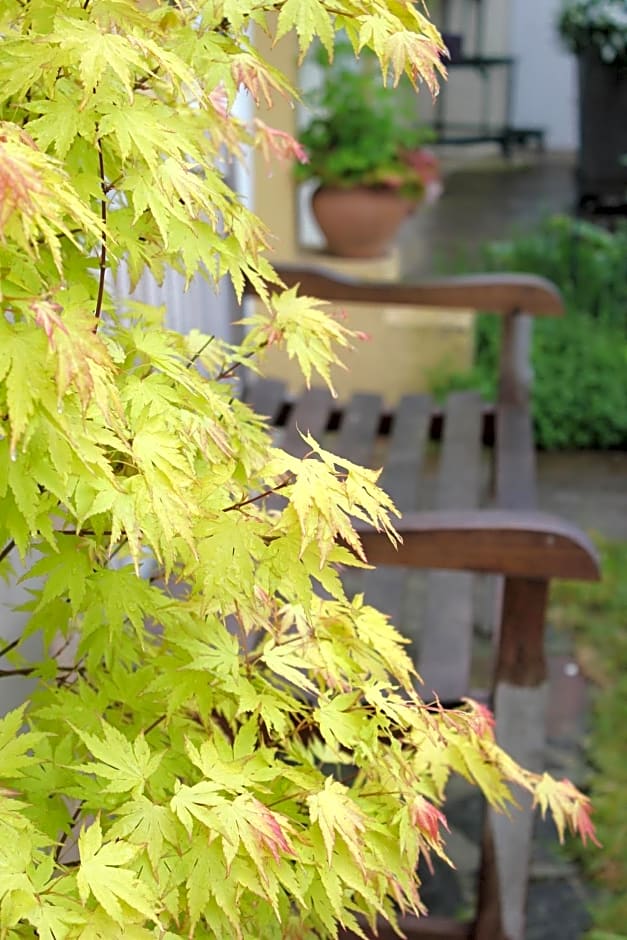 Le Chemin du Village