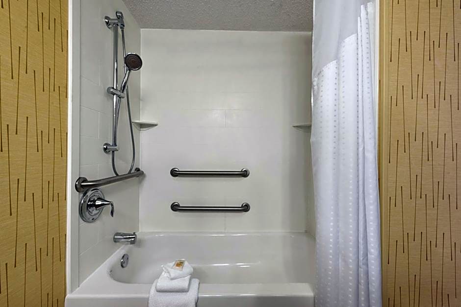 Holiday Inn & Suites Duluth-Downtown By IHG
