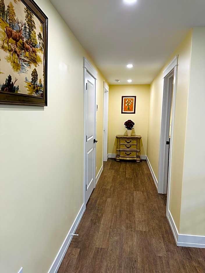 Luxurious Basement Retreat