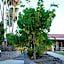 Tripui Hotel