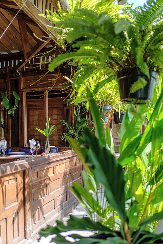 My Dream Bali