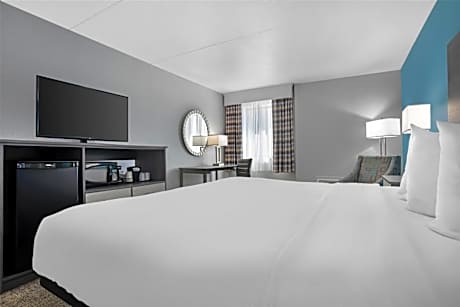King Room - Pet Friendly