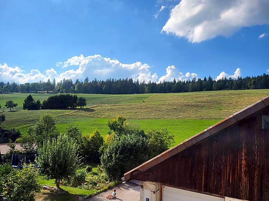 Hôtel-Restaurant Le Cochon Rose