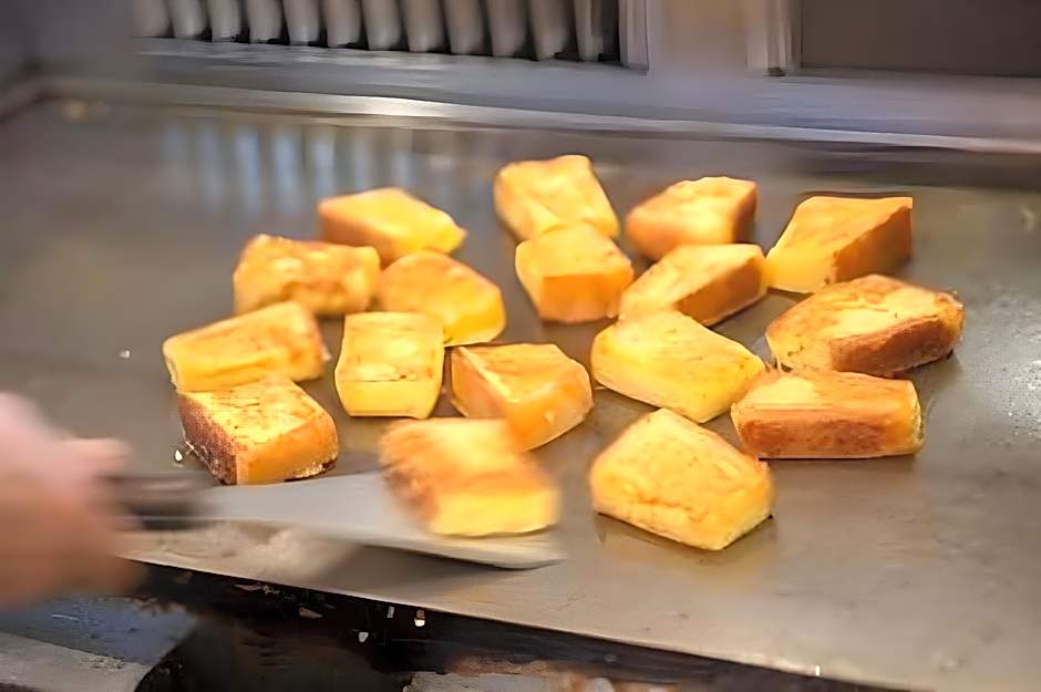 Fukuyama New Castle Hotel