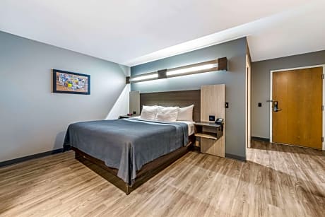 1 King Bed, No Smoking, Accessible Room