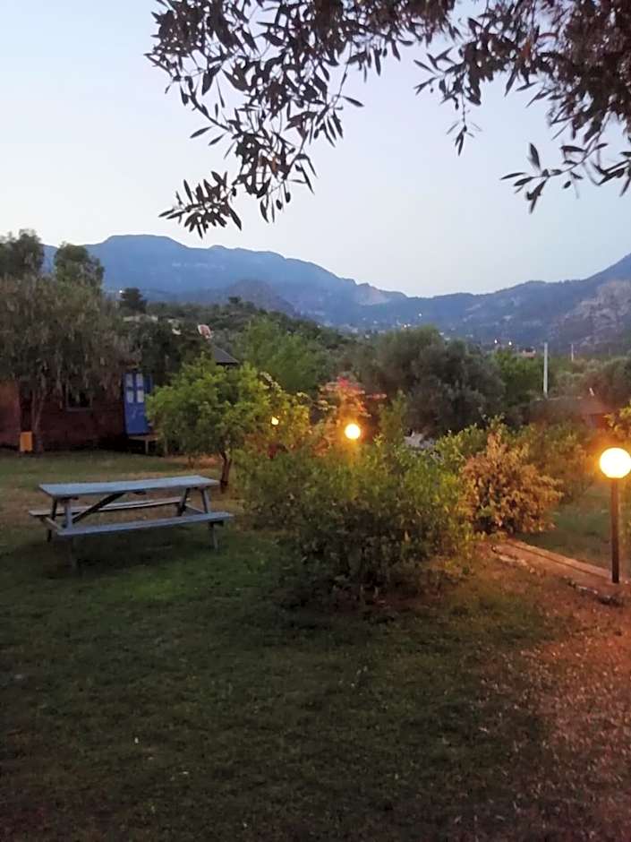 Bahar Bahce Datca