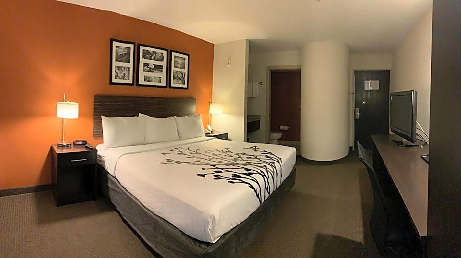 Photo 1 of 4 of 1 King Bed, Accessible, Roll in Shower
