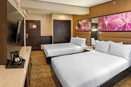 Double Room with Two Double Beds