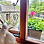 Crookabeck B&B
