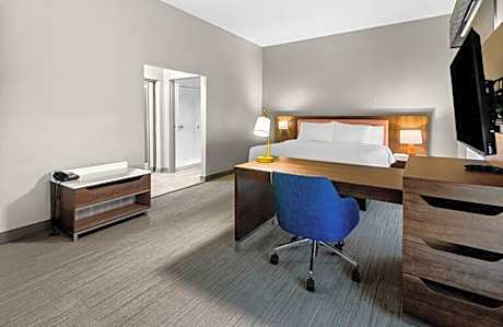 1 King Bed Studio Suite Nonsmoking