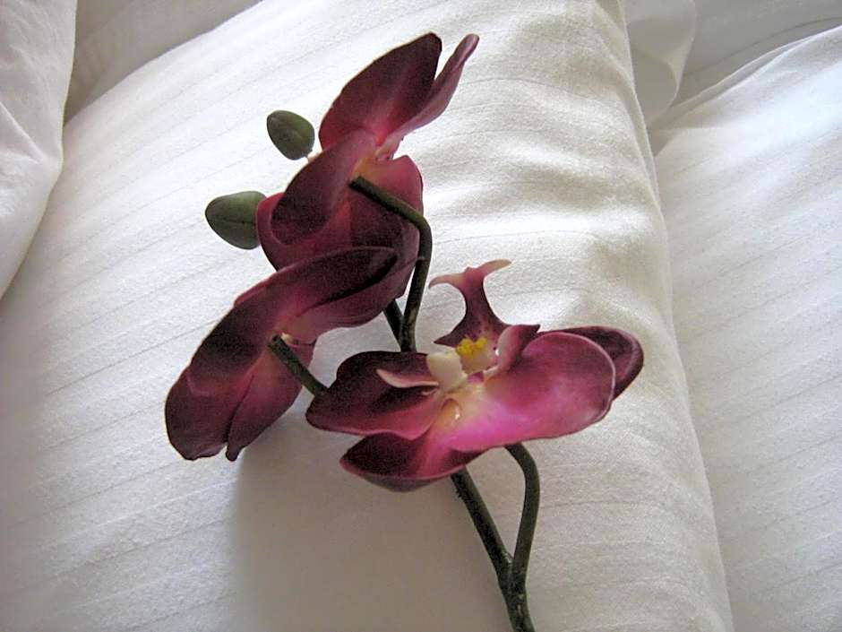 Yonge Suites Apart Hotel