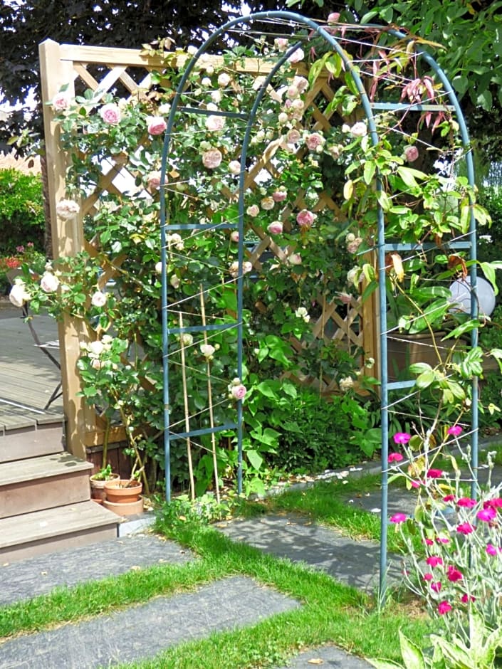 Chambres d'Hôtes Vignes et Loire