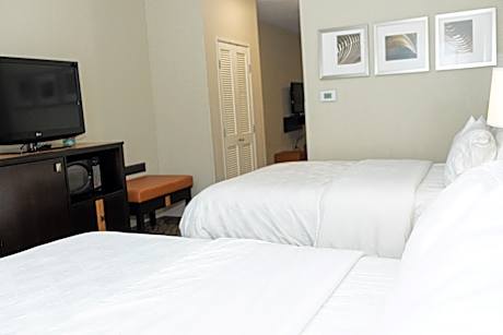 2 Queen Suite Sofa Bed